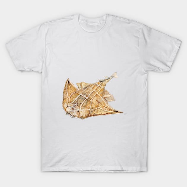 Angel shark T-Shirt by chloeyzoard